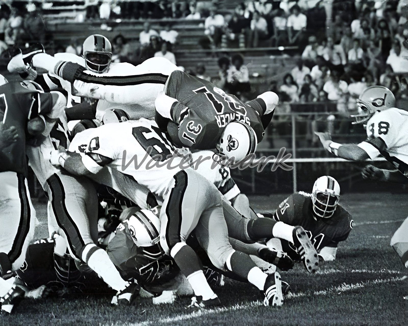 1974 WFL Memphis Grizzlies vs Detroit Wheels Game Action 8 X 10 Photo Picture
