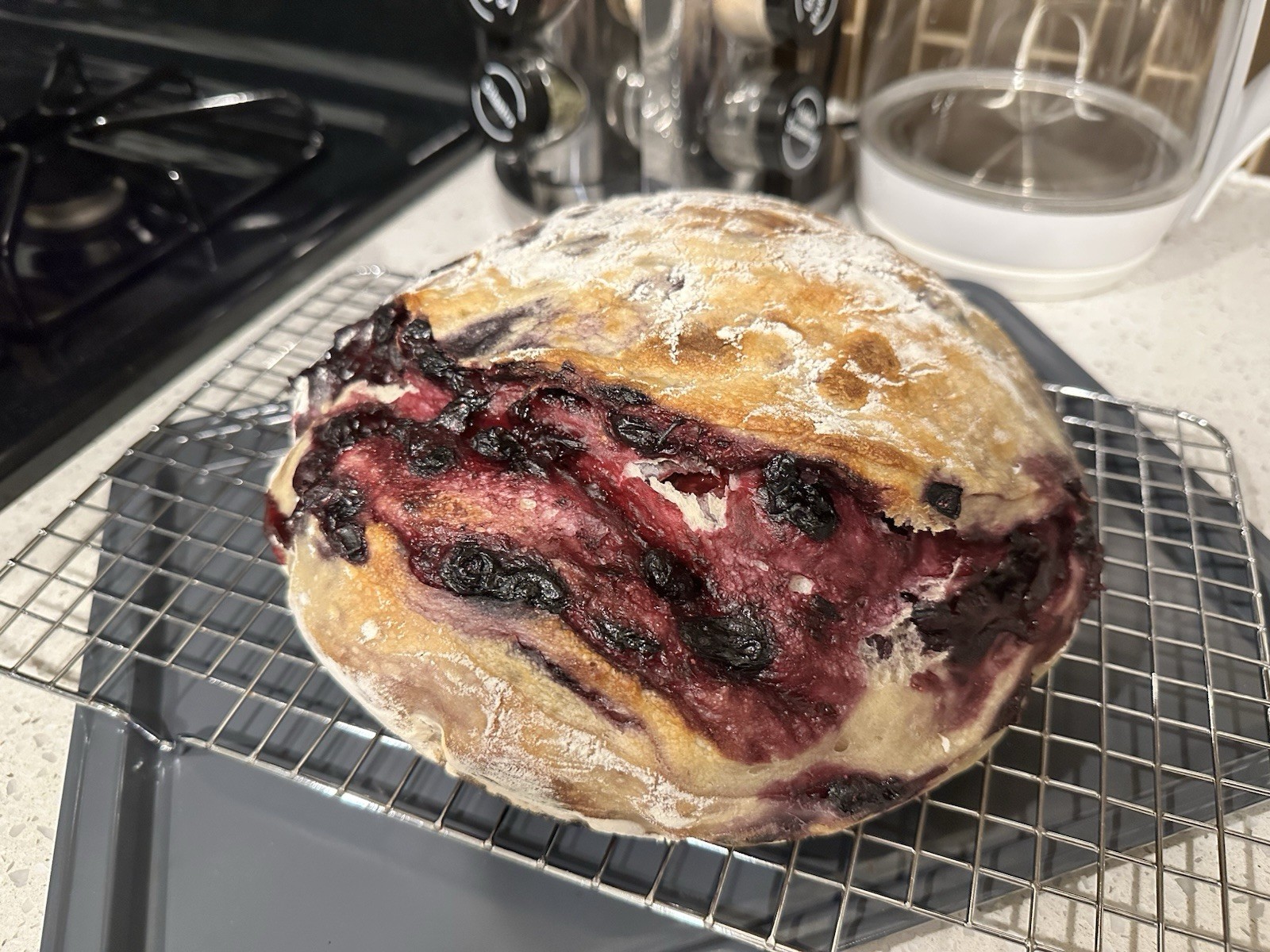 Established Dehydrated Sourdough Starter - wildly active!