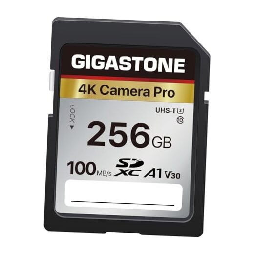 【5-Years Data Recovery】  256GB SD Card, 4K Camera Pro, A1 4K Camera Pro 256GB