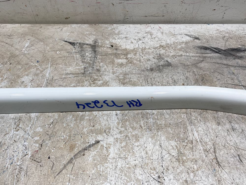 2020 Freightliner Cascadia Cab Exterior Trim Panel 1858886001 (785-10560)