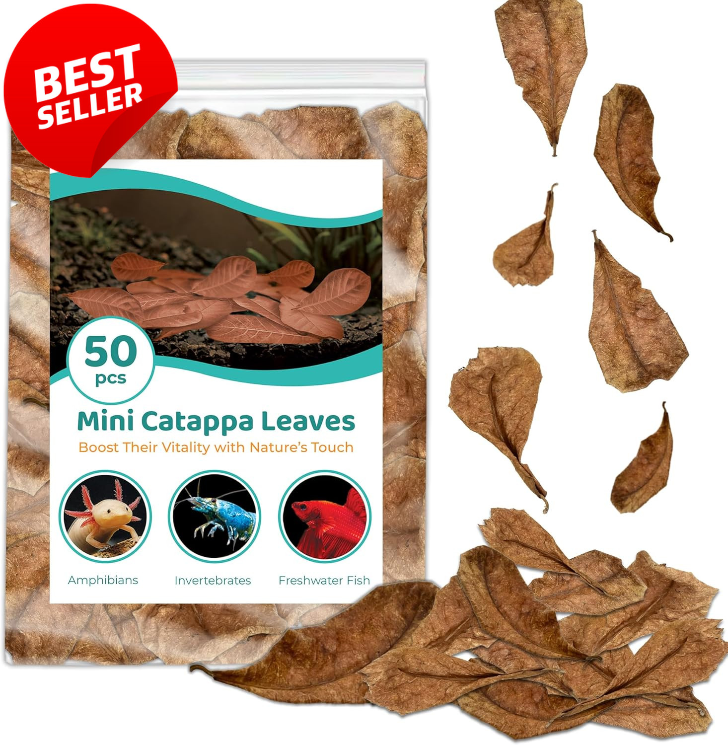 50pc Catappa Indian Almond Leaves 2" Betta Fin Rot Aquarium pH Control - US