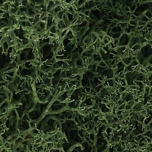 Woodland Scenics 163 All Scale Lichen - 1.5qts 1.4L -- Medium Green