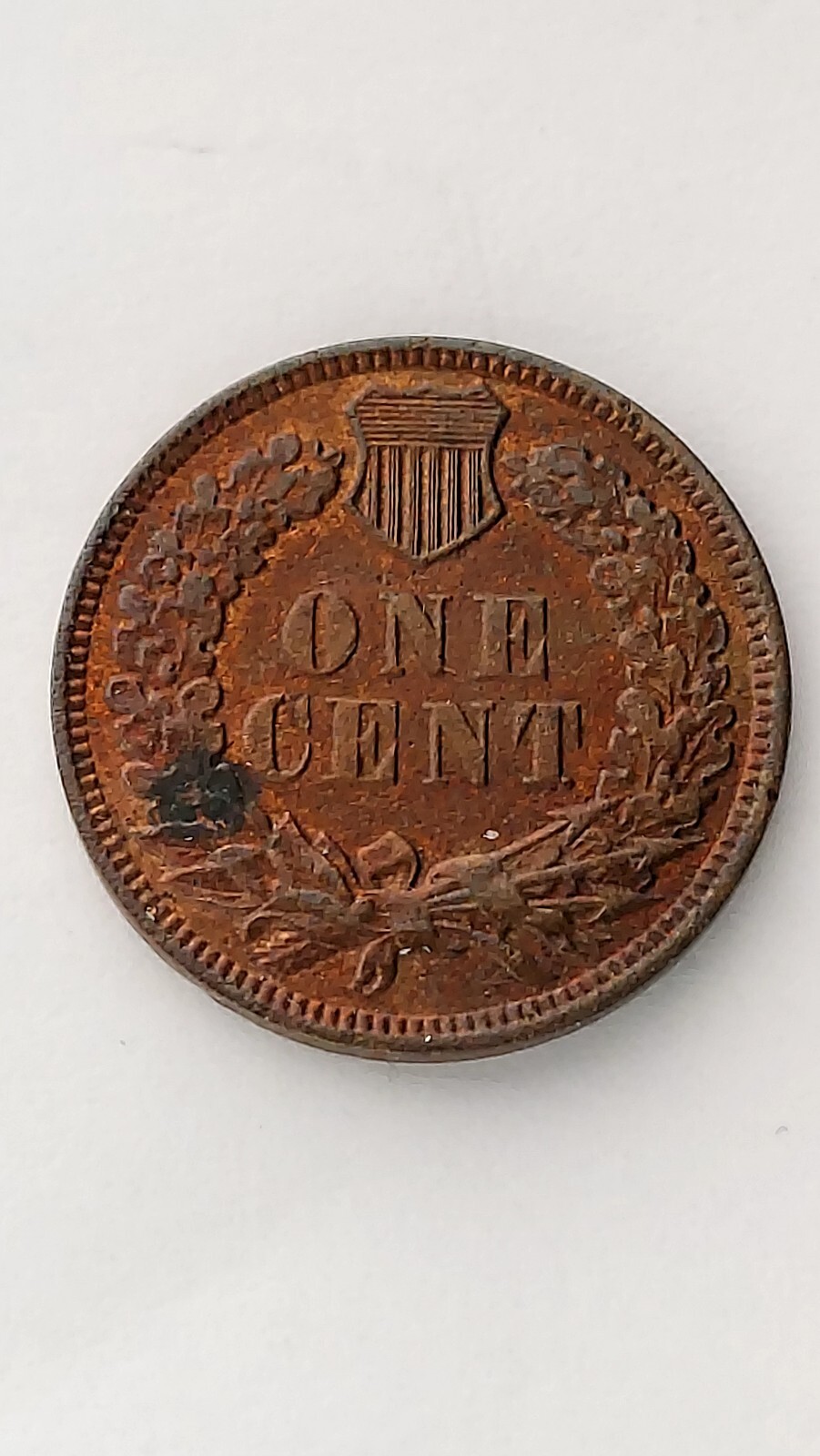 1899 United States Indian Head Cent