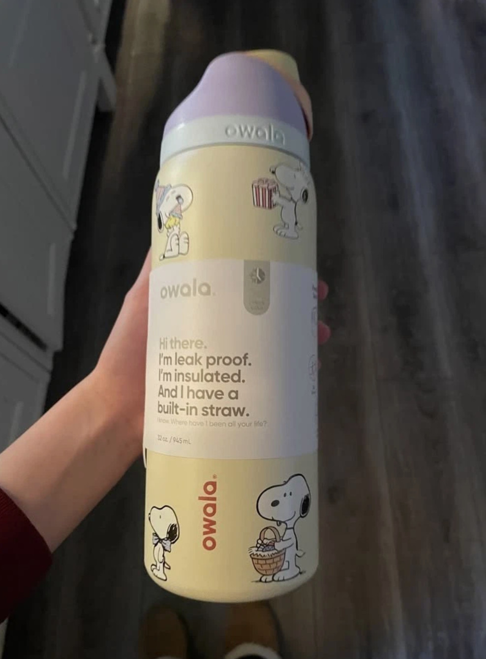 New 2026 Snoopy Water Bottle Owala 32oz Stainless Steel Exclusive Edition