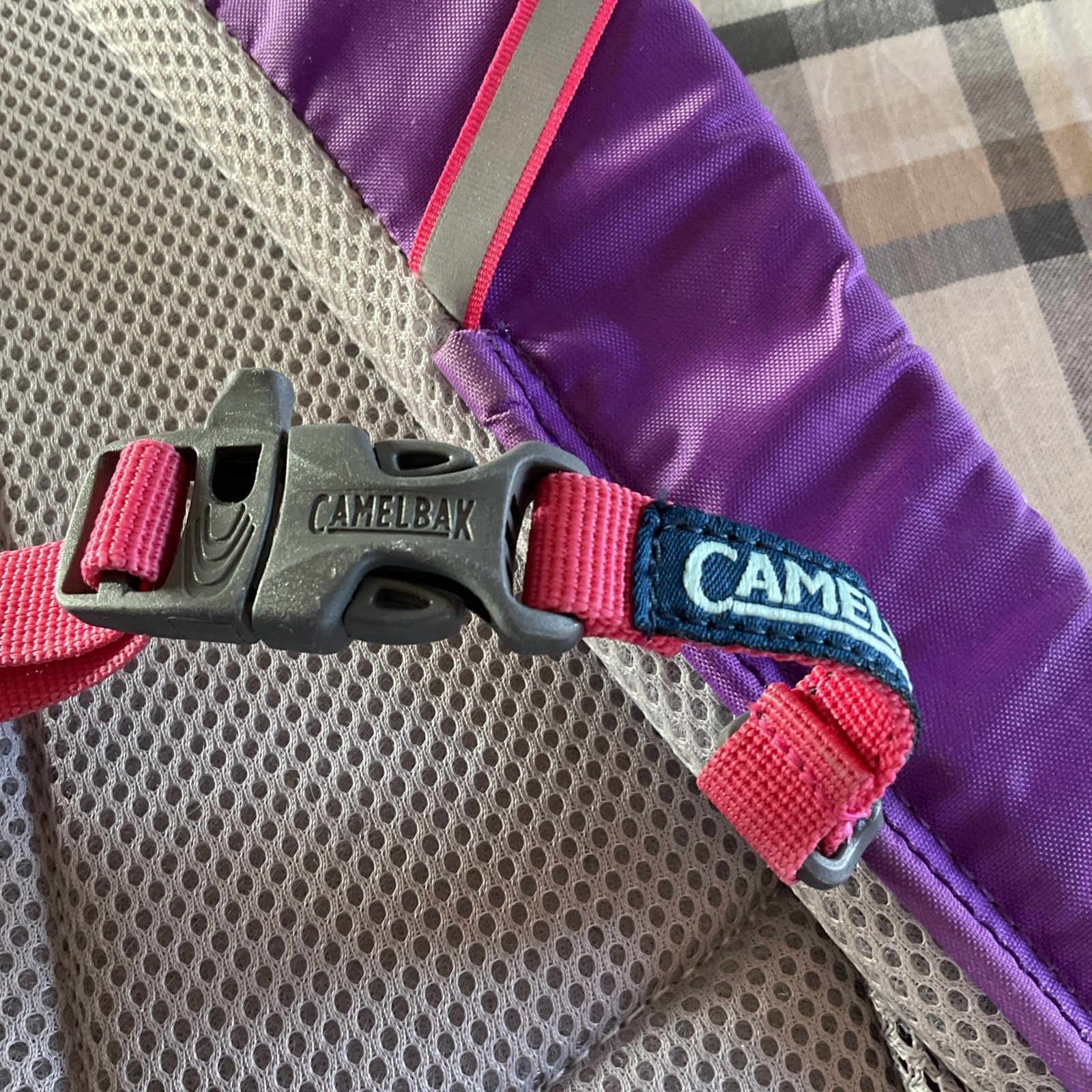 Camelbak Scout Backpack Purple and Pink