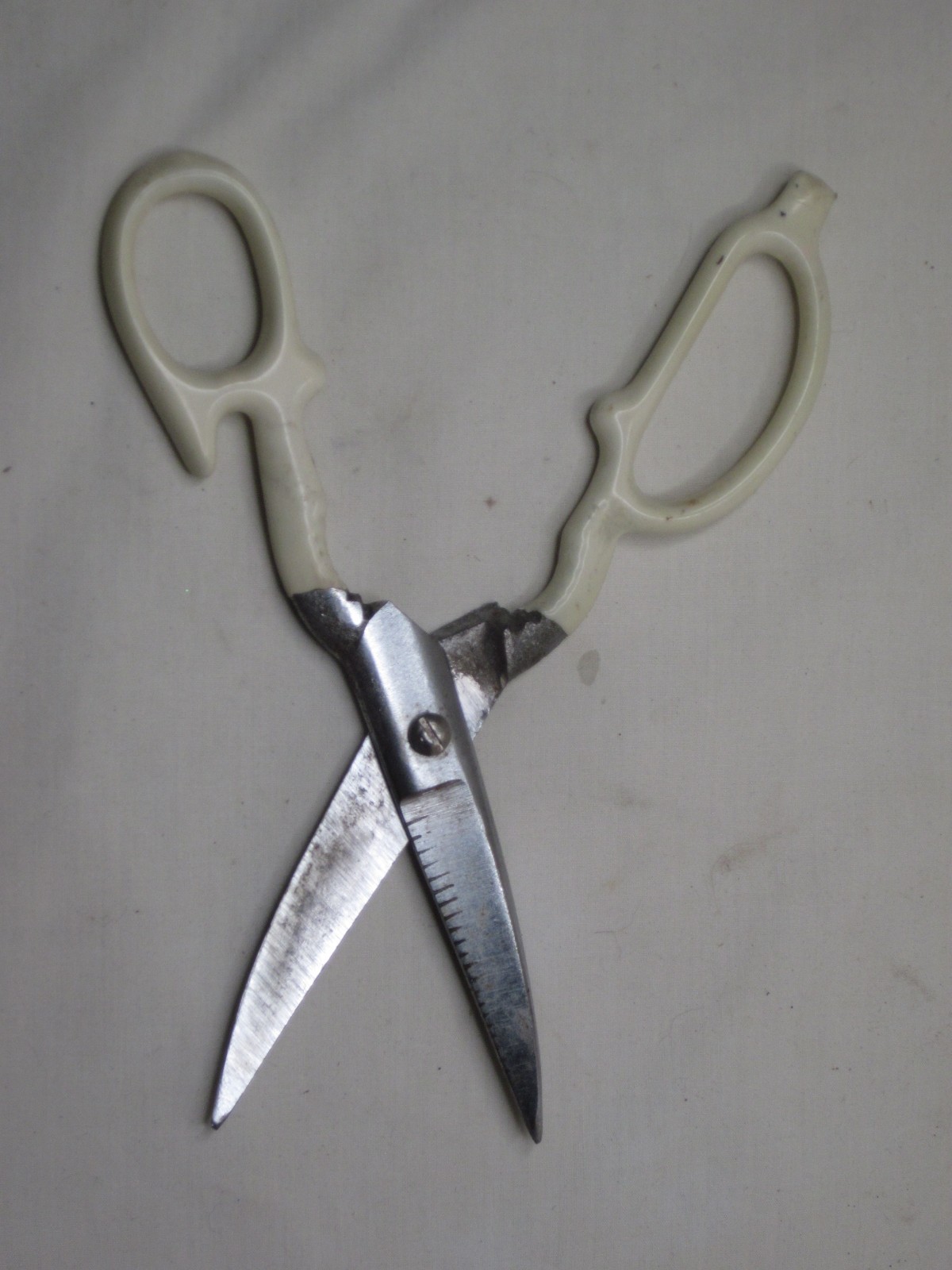 vintage kitchen shears utility scissors multi-purpose tool