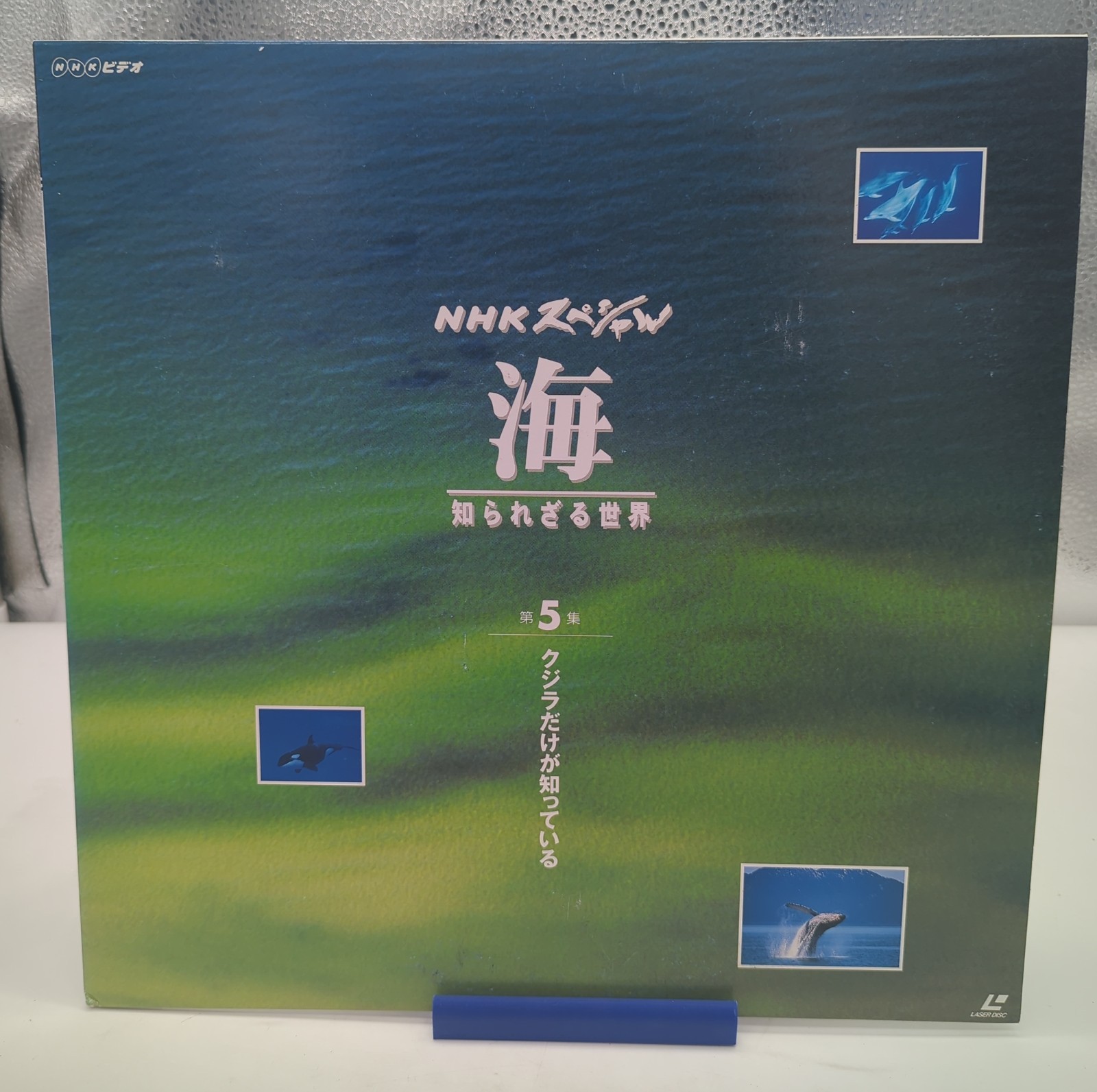 NHK Special Sea Unknown World Vol.5 Whale Japan LaserDisc Documentary TOLS-1345