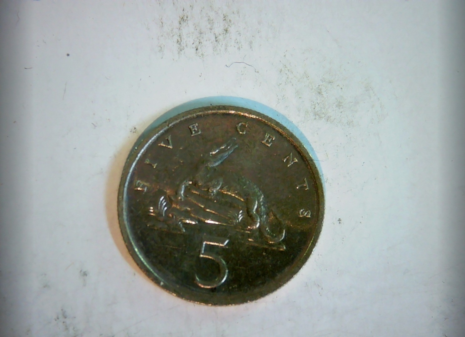 1983 Coin