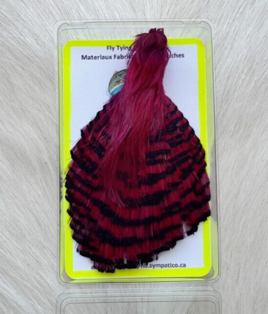 Golden Pheasant Cape.  Feather. Fly Tying.. Color; Purple. Grade "A"