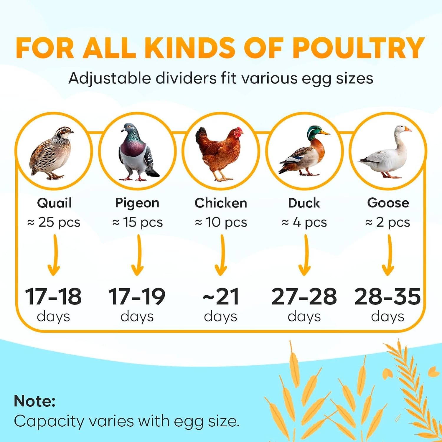 12 Egg Incubator with Automatic Egg Turning and Humidity Control – Egg Incuba...