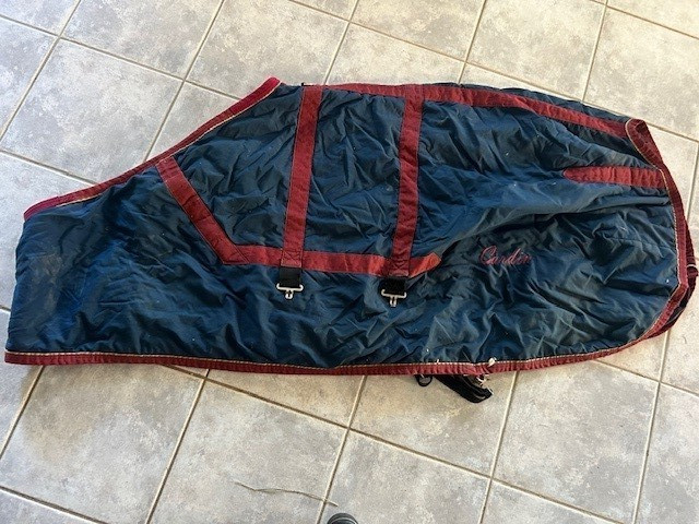 Turnout Style BLANKET sz  Pony/Small Horse 66" Navy w/ Red Trim VGC Corcel