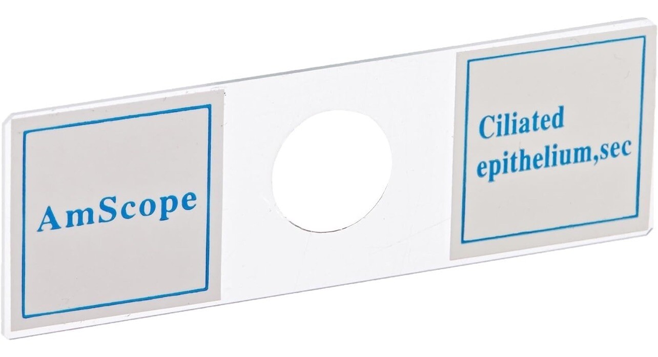 AmScope PS100A 100 Homeschool Biology Prepared Microscope Slides - Set A
