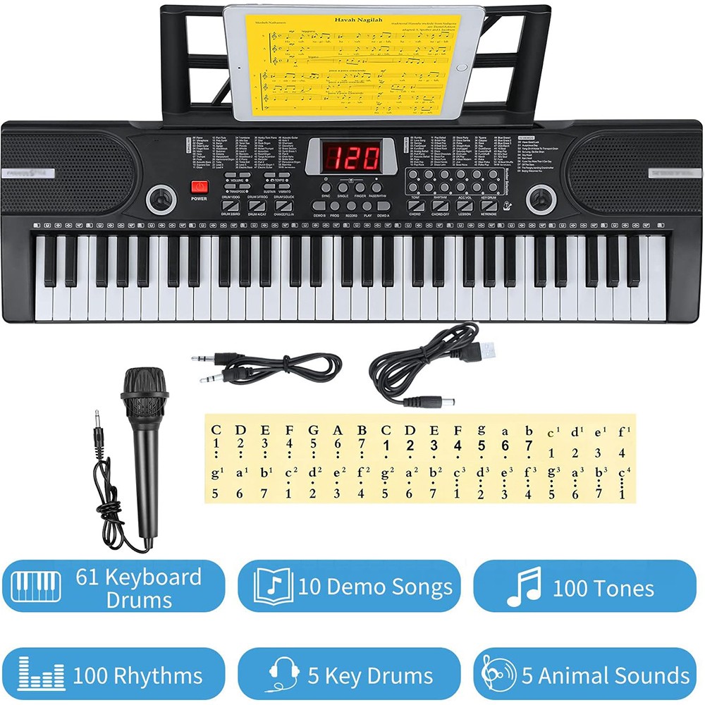 61 Key Portable Electronic Keyboard Piano Lighted Keys Kids Beginner Player +Mic