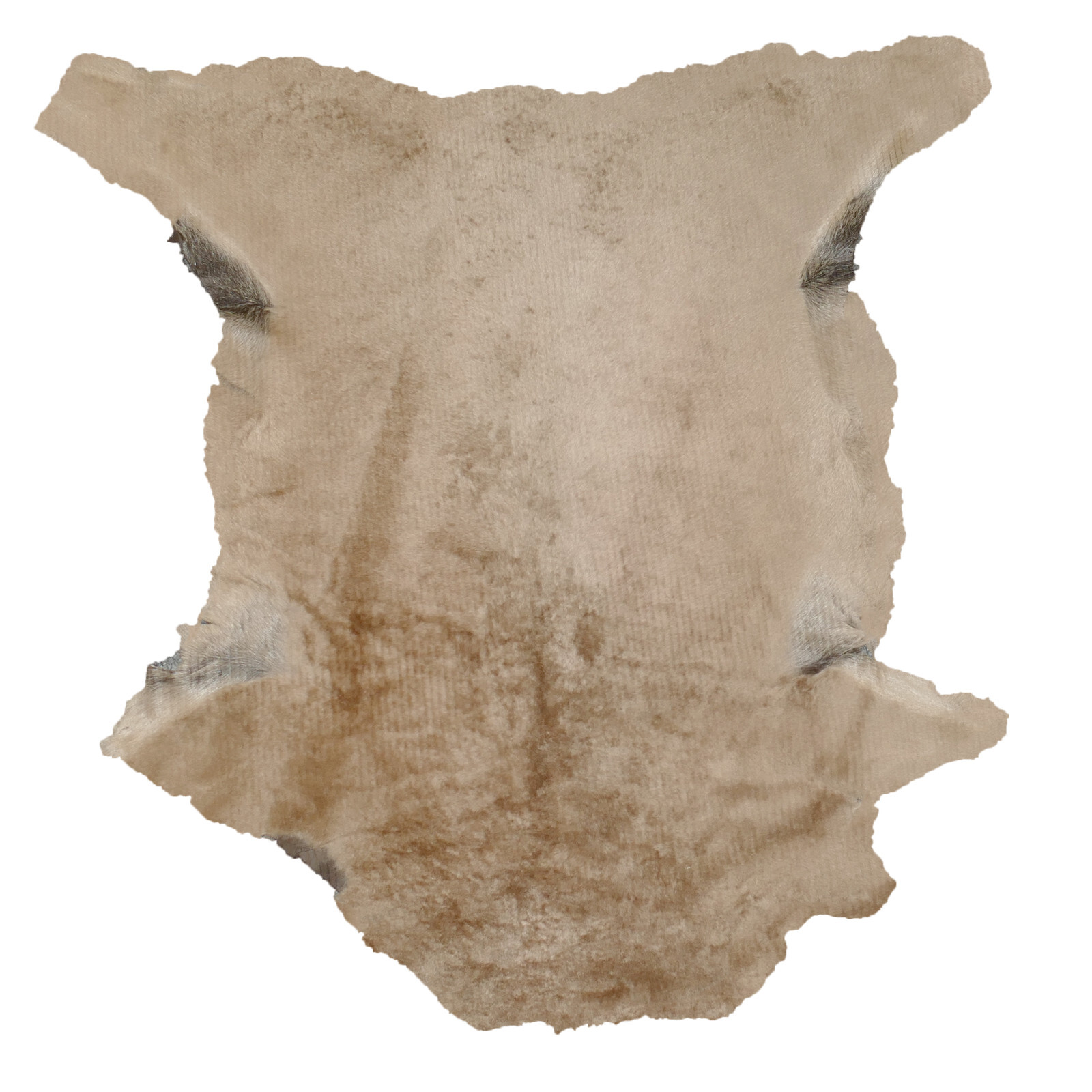 Glacier Wear Sheared Tuscan Lamb - Dark Beige