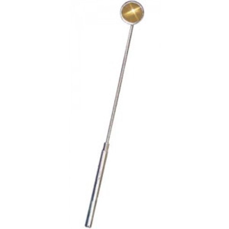 J041MI JORGY DENTAL MIRROR 22MM Small Animal Dog/Cat Mouth Vet Tooth