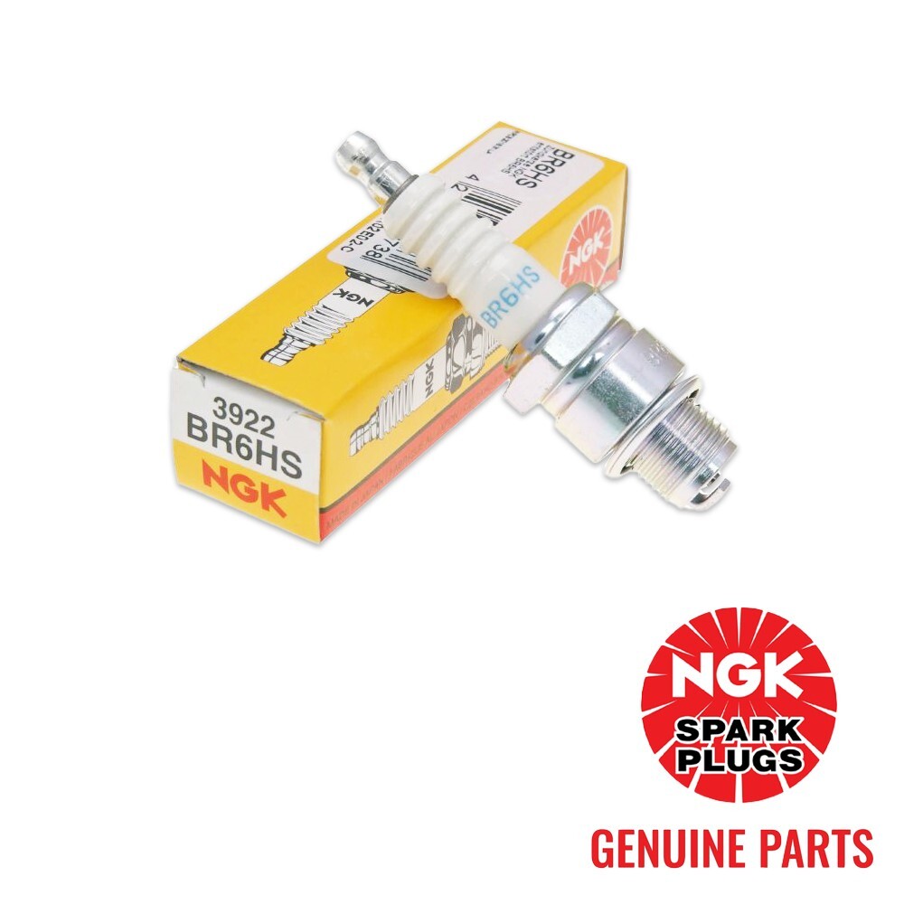Genuine NGK BR6HS (3922) Spark Plug - 4 PACK