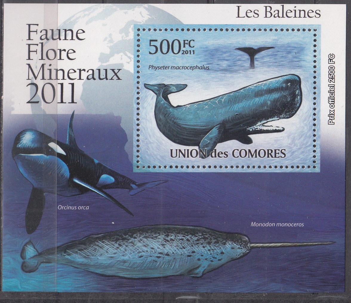 W COMORO Y2011 (03) (1) WHALES