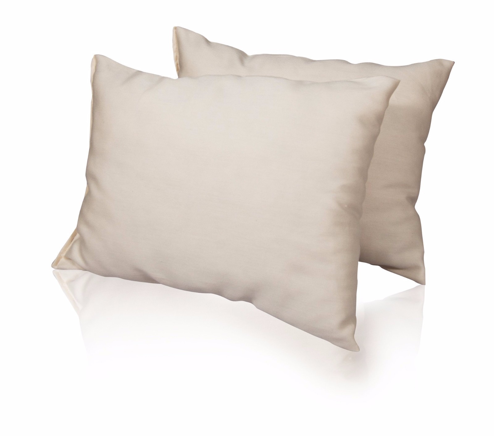 Organic Cotton Bed Pillow SACHI Organics USA Natural Standard Queen King Eco