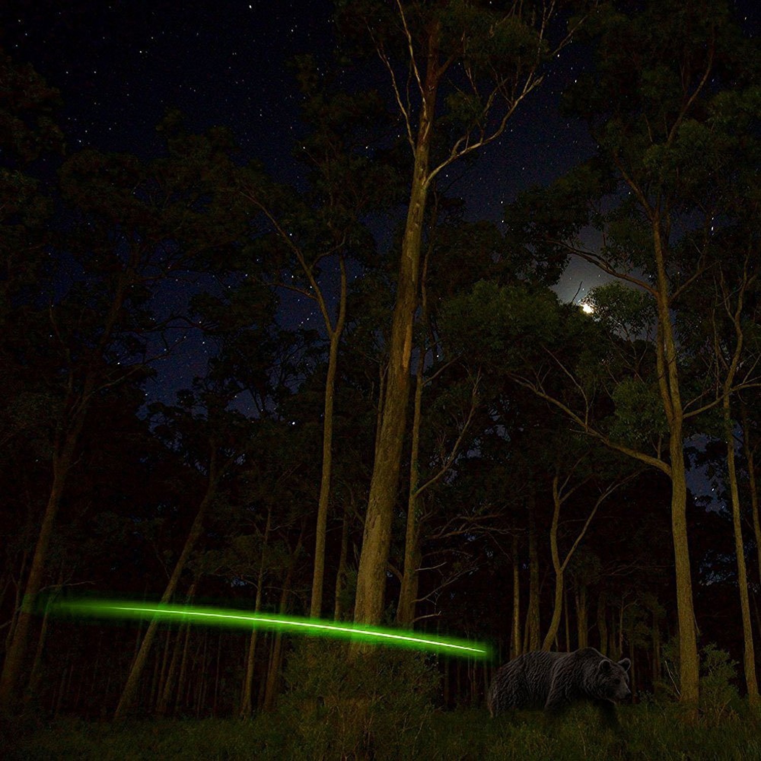 6PCS Lighted Nocks for Crossbow with .300''/7.62mm Inside Diameter,Half Moon ...