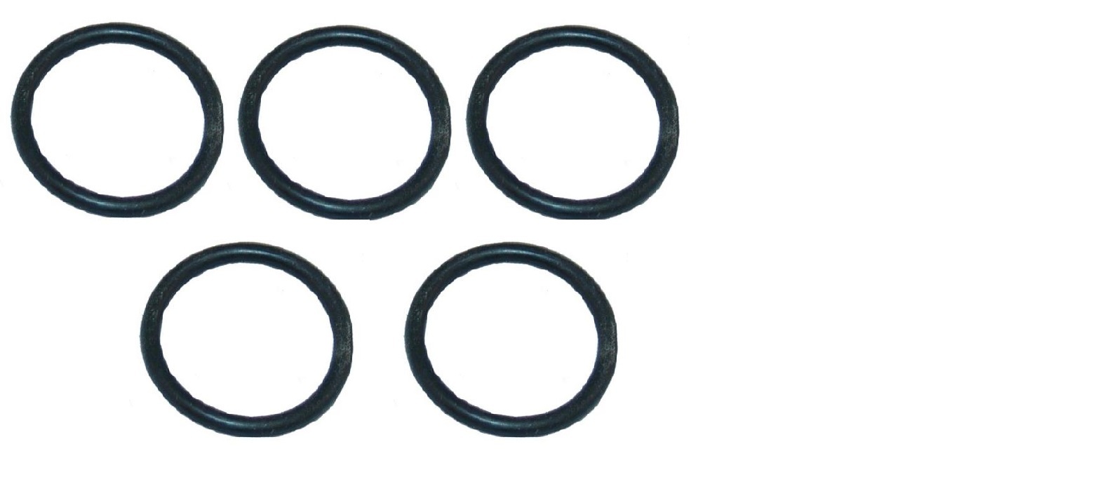 Electro Freeze 159295 Pump Piston / DD Twist Plunger O-Ring - 10 / PK