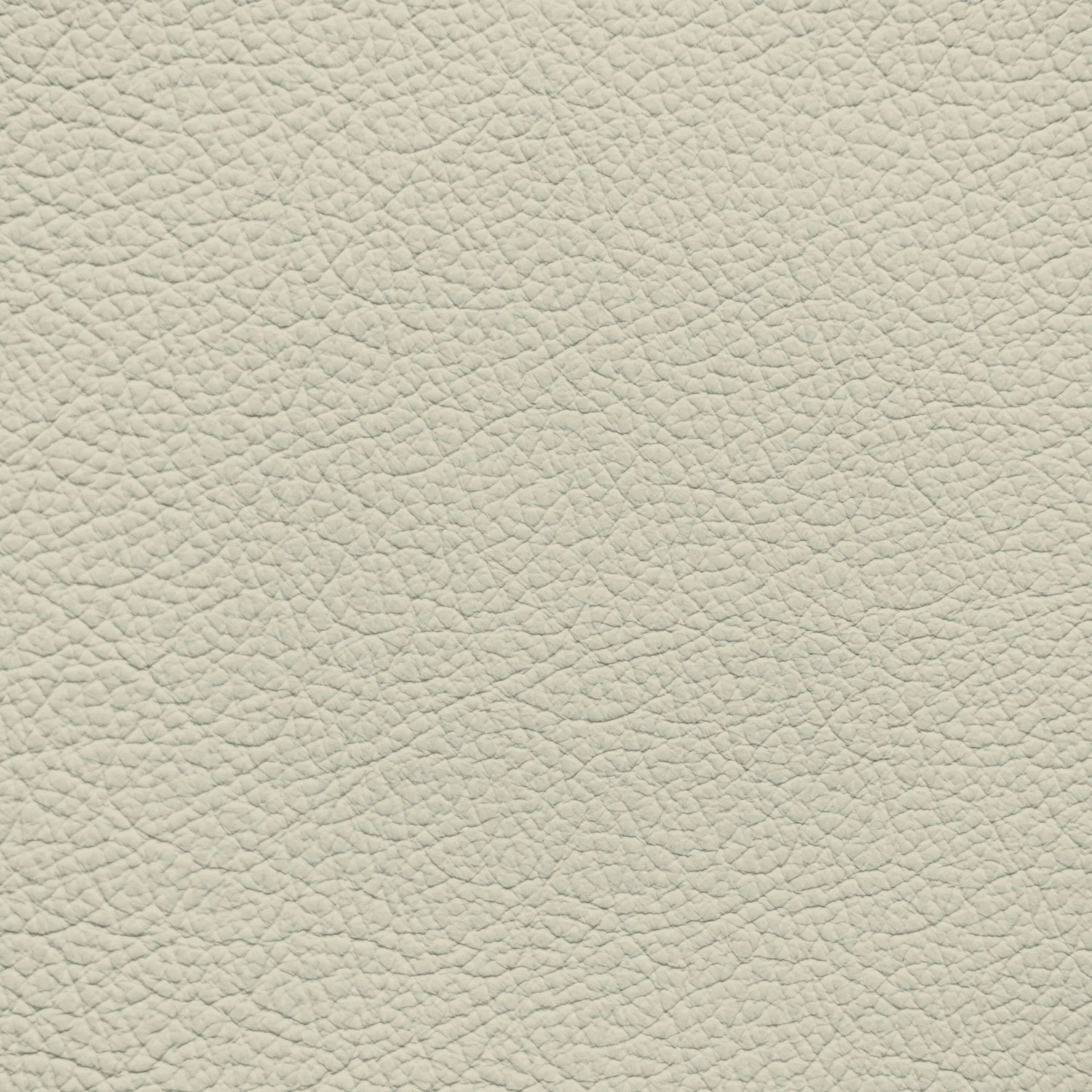 BMW Canberra Beige Leather Dye