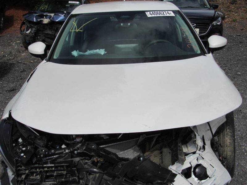 CIVIC 2023 Glove Box 960708