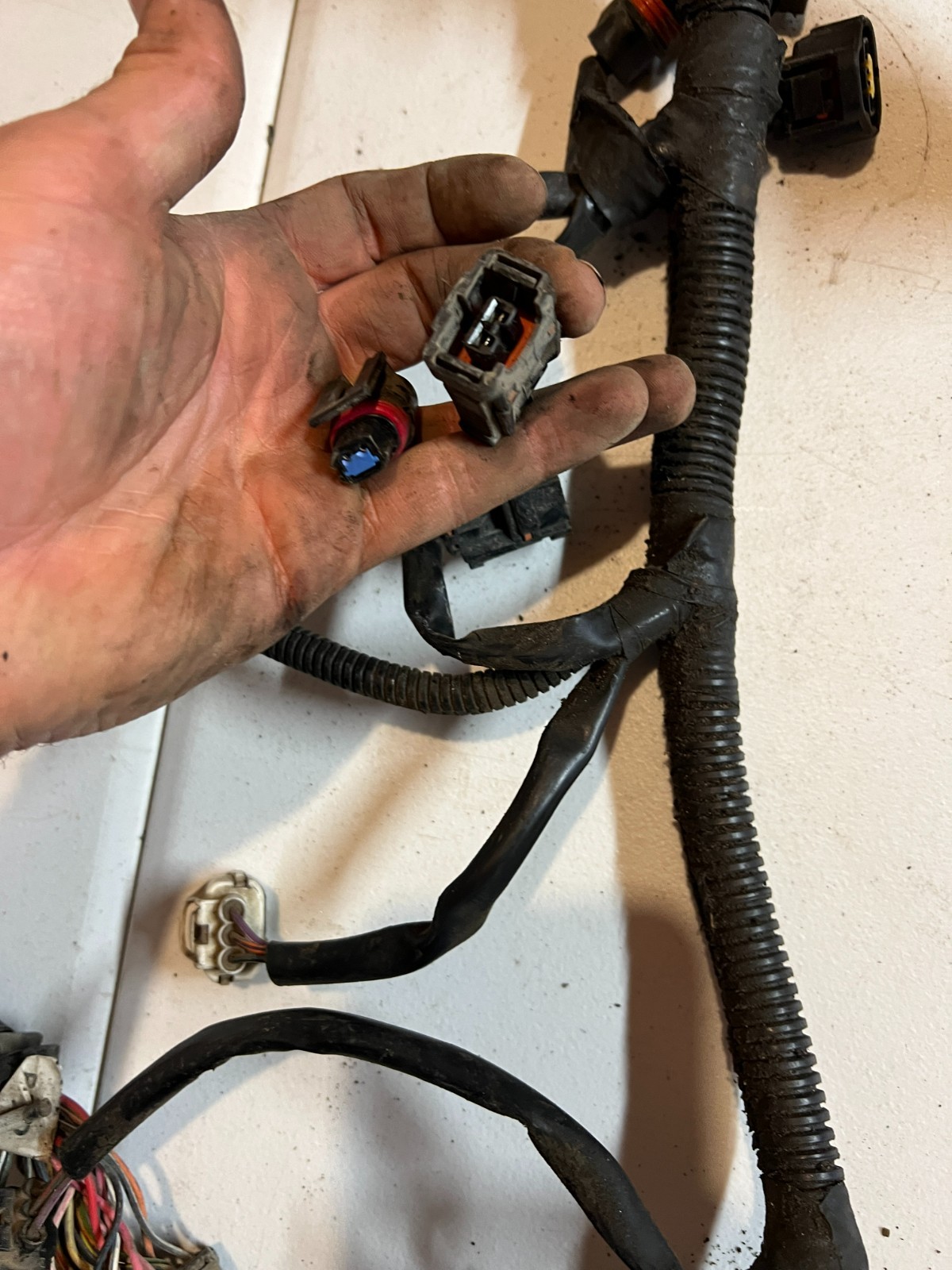 1997 Dodge Ram 5.2L 5.9L Magnum Gas Engine Transmission Wiring Harness 56021743