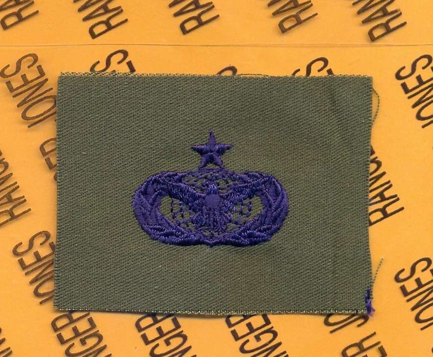 USAF Air Force Senior Force Protection Blue & OD Green cloth patch