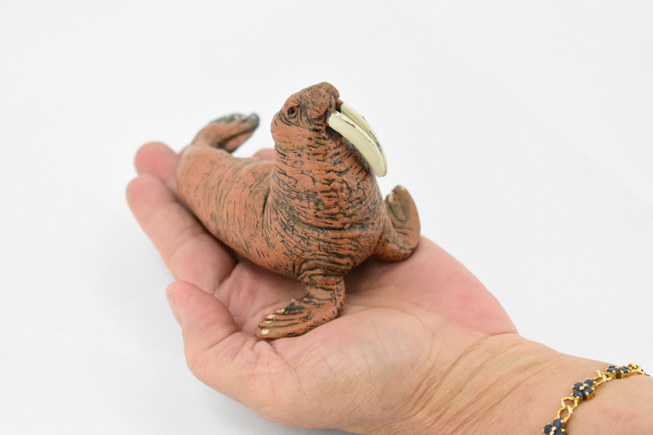 Walrus, Realistic Toy Figure, Model, Replica, Educational Gift 5" CH357 BB137