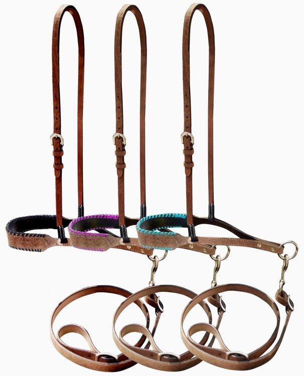 Showman Leather horse noseband and tiedown with colorful rawhide lacing on nose