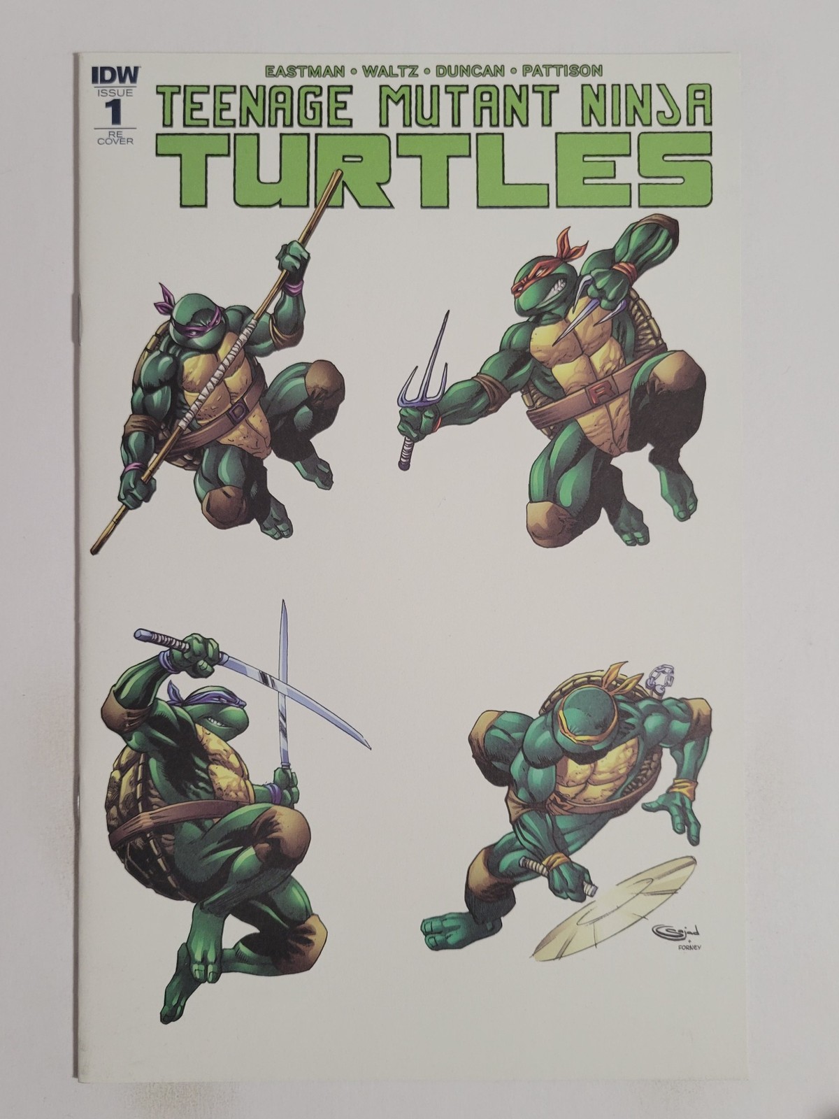 Teenage Mutant Ninja Turtles #1 IDW 2018 NM 9.4 Sajad Shah variant cover art