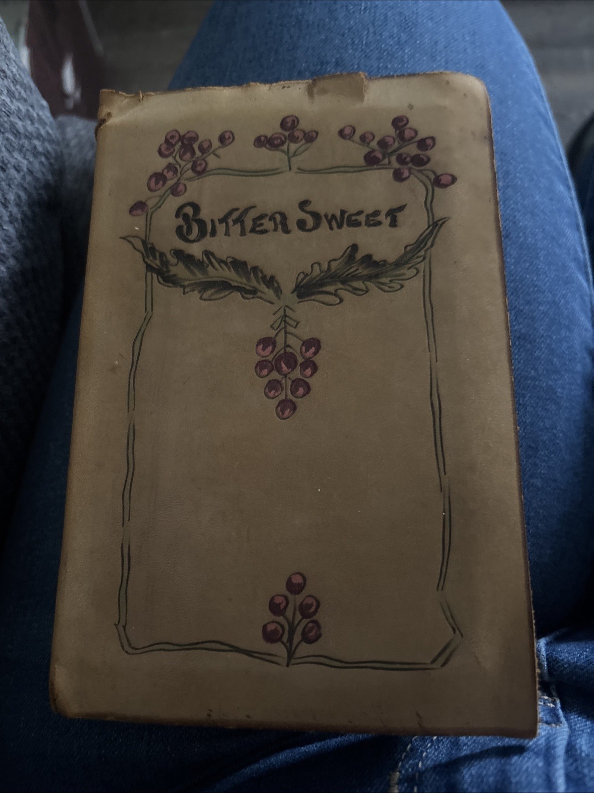 Bitter Sweet  by J.G. Holland   VIntage Leather  Hust & Co. Poety