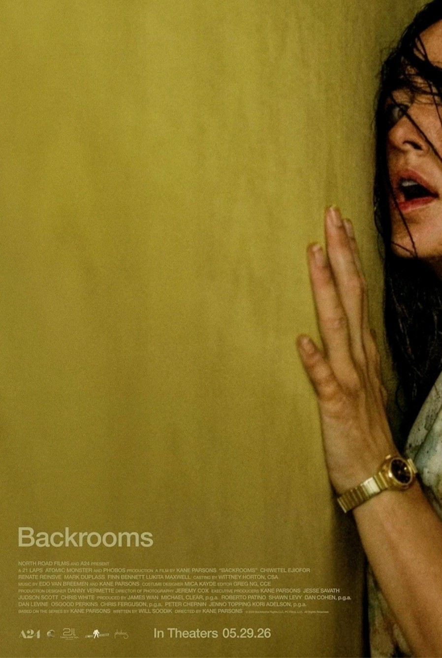 Backrooms Dvd (2026) Presale 🥰😍