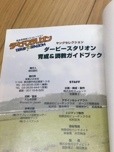 PlayStation DerStallion Training Conditioning Guide Strategy Guide