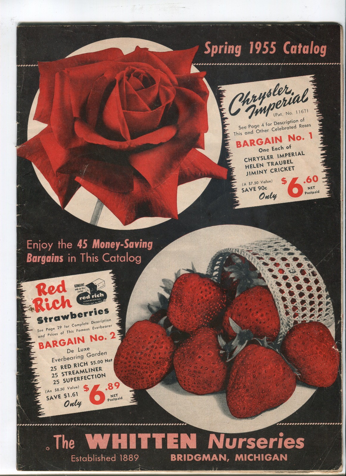 1955 Whitten Nurseries Catalog