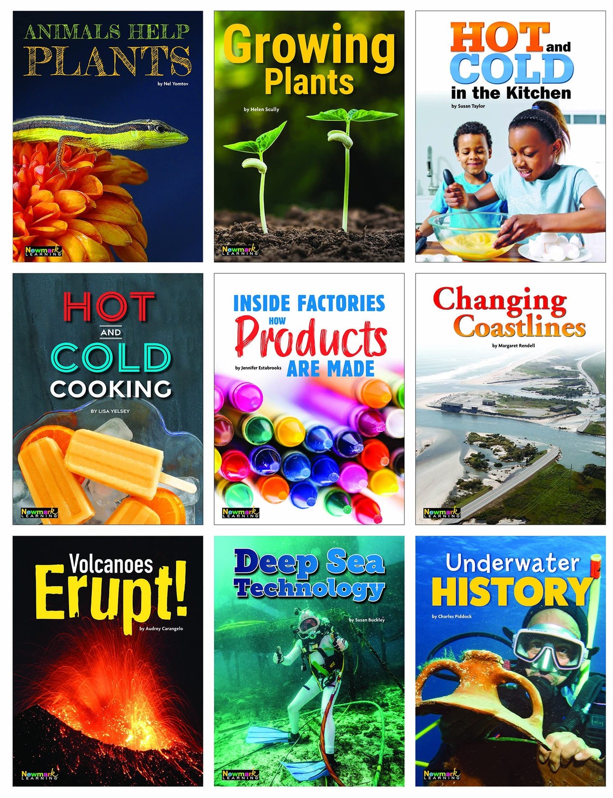 Newmark Learning Library STEAM Book Collection Grade 2 Set (9 Books)