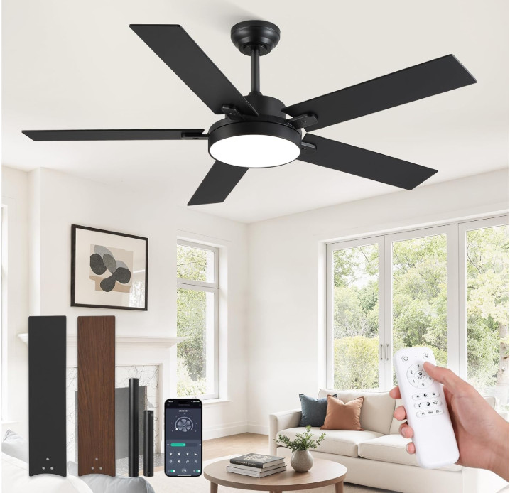 Ventilador Techo 52  Luz LED Mando App Motor DC 6 Velocidades Regulable Negro