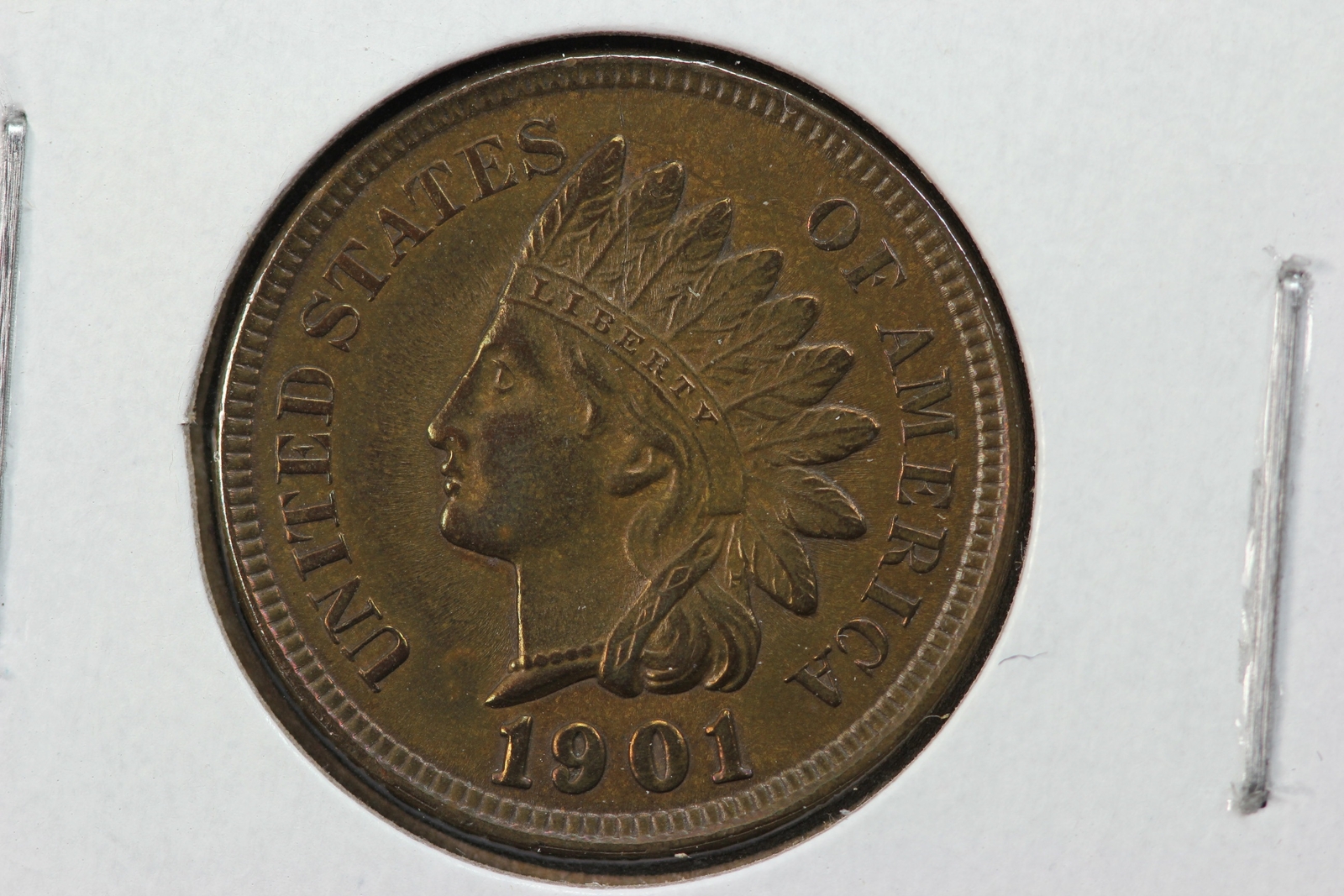 1901 Indian Cent Brown 2GED