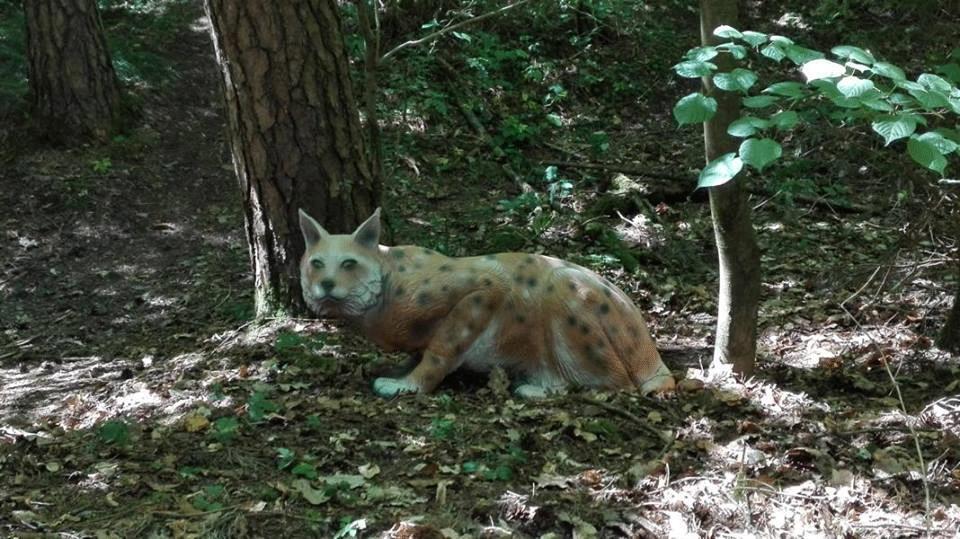 3D Animal LongLife Lynx