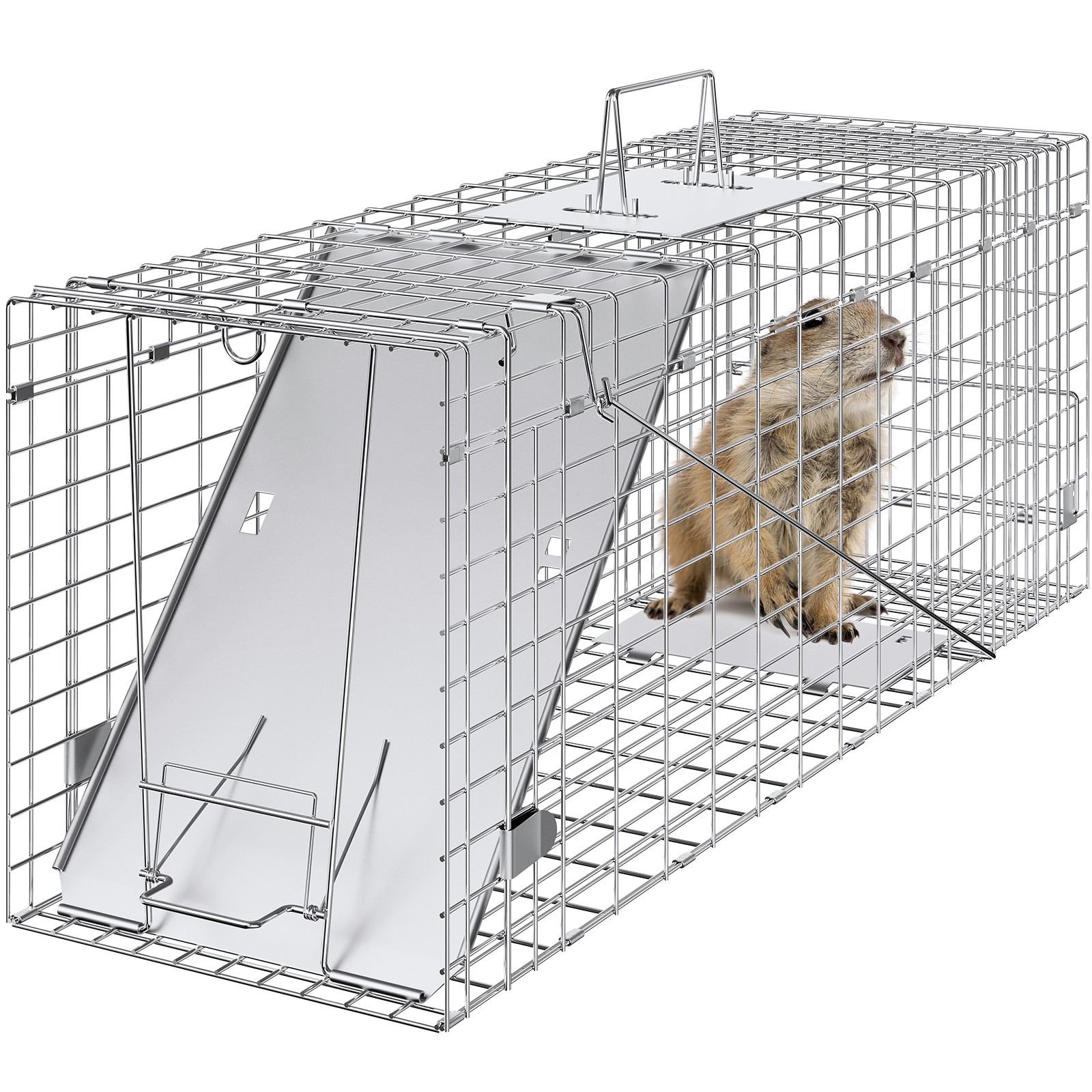 Live Animal Cage Trap 31" x 10" x 12" Humane Cat Trap Cats Squirrels Mouse