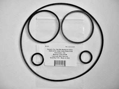Sta-Rite 1 1/2 & 2" Multi-port Valve  O-Ring Kit /R&S 212-261K / EPDM/see models