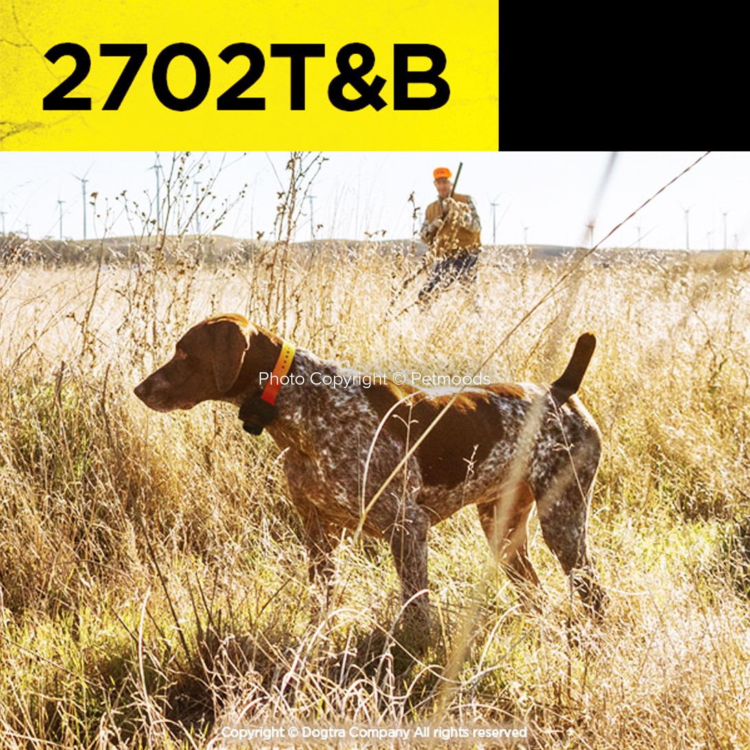 Dogtra 2702T&B Remote 2-Dog Training Beeper Collars Trainer System Train & Beep