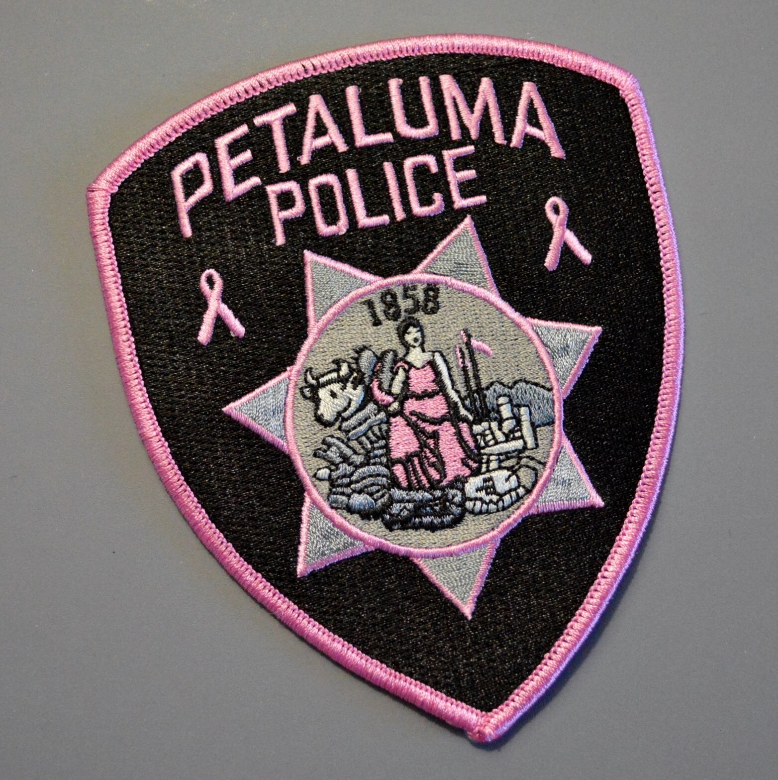 Petaluma California Police Pink Patch +++ Mint Sonoma County CA