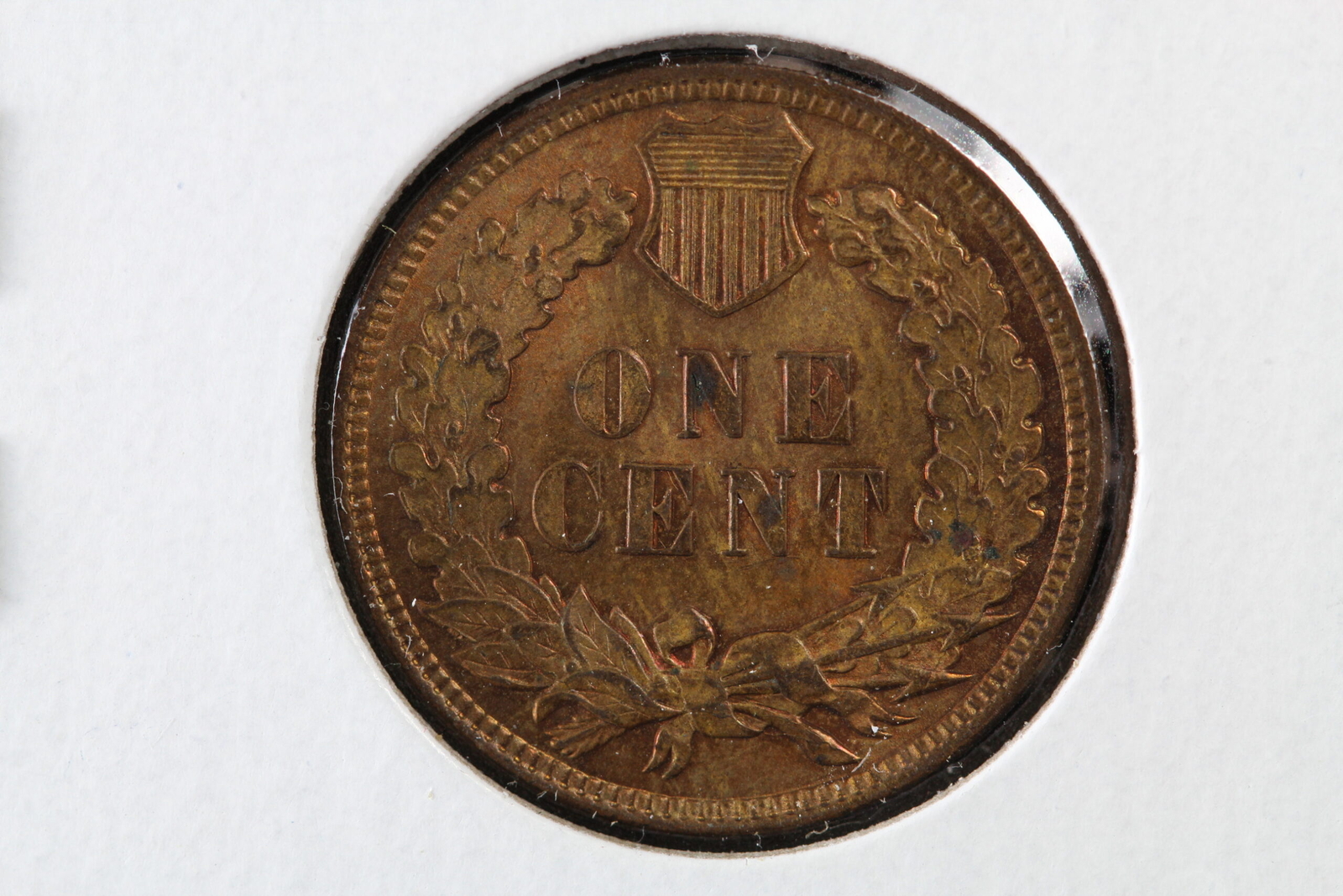 1906 Indian Head Cent CU BU BN 487C