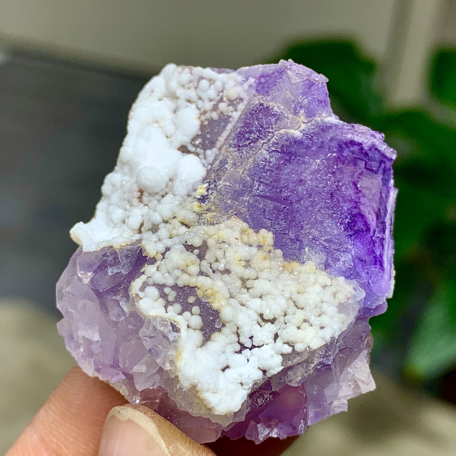 43G Rare!YunNan Purple Fluorite Coexists with Spherical Calcite NewCollectible