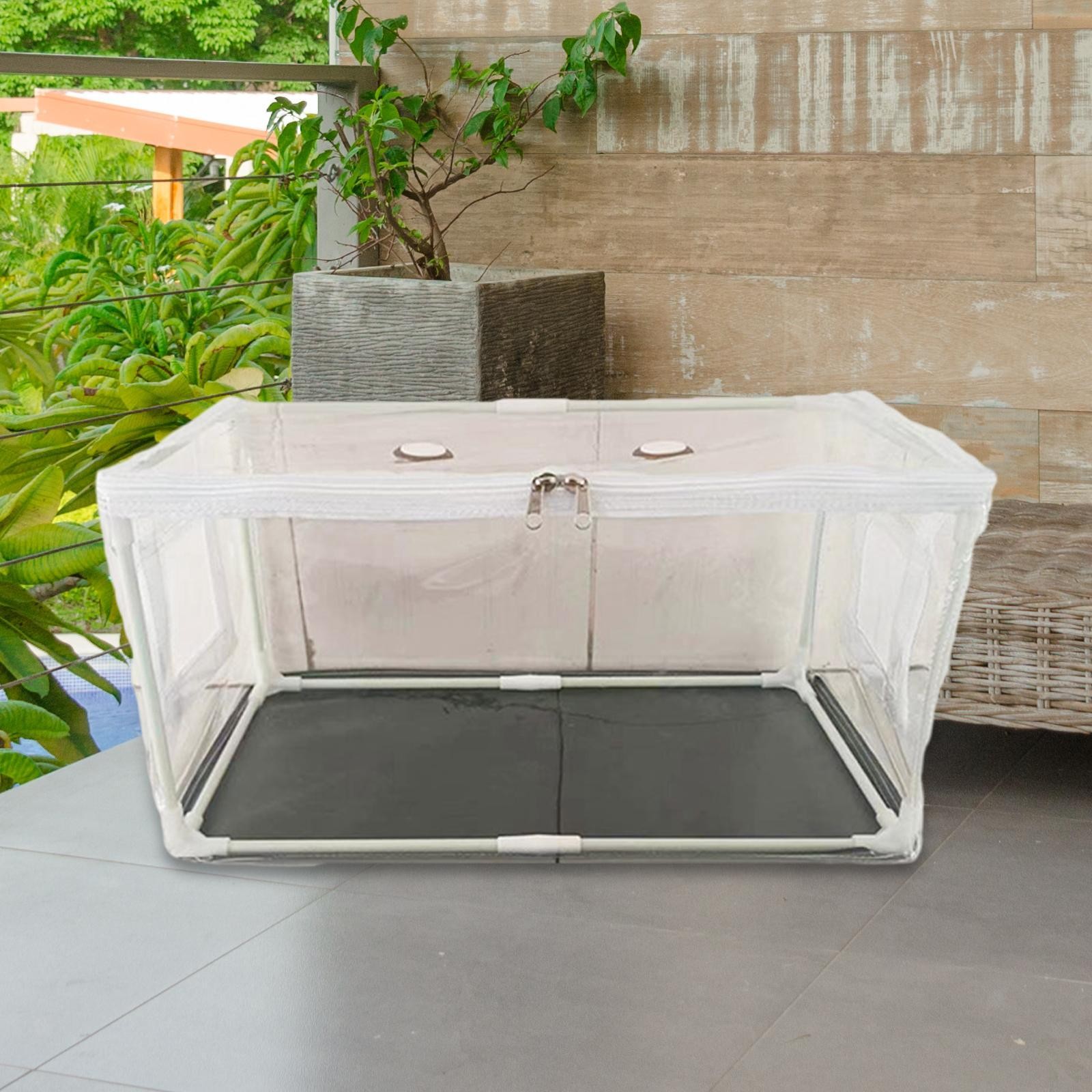 Mushroom Growing Tent Bag Box Mini Greenhouse Space Saving Indoor 50x25x25cm