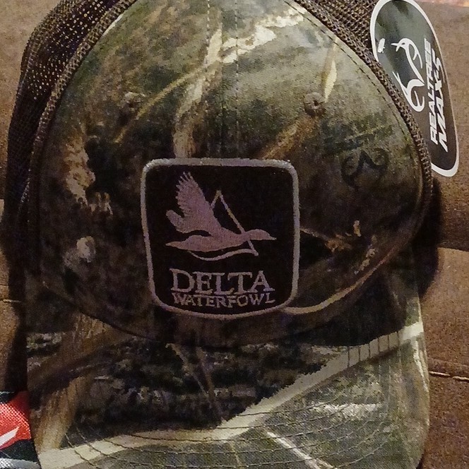 Delta Waterfowl Realtree Camouflage Mesh Back Ball Cap Multi-Color
