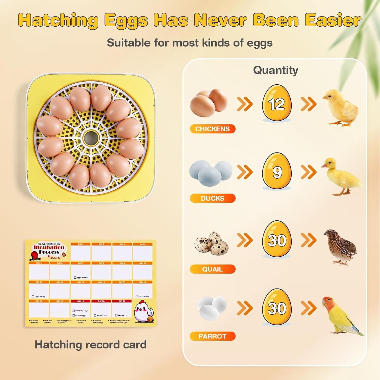 12 Egg Incubator with Automatic Water Refill for Hatching Eggs Auto Egg Turning~