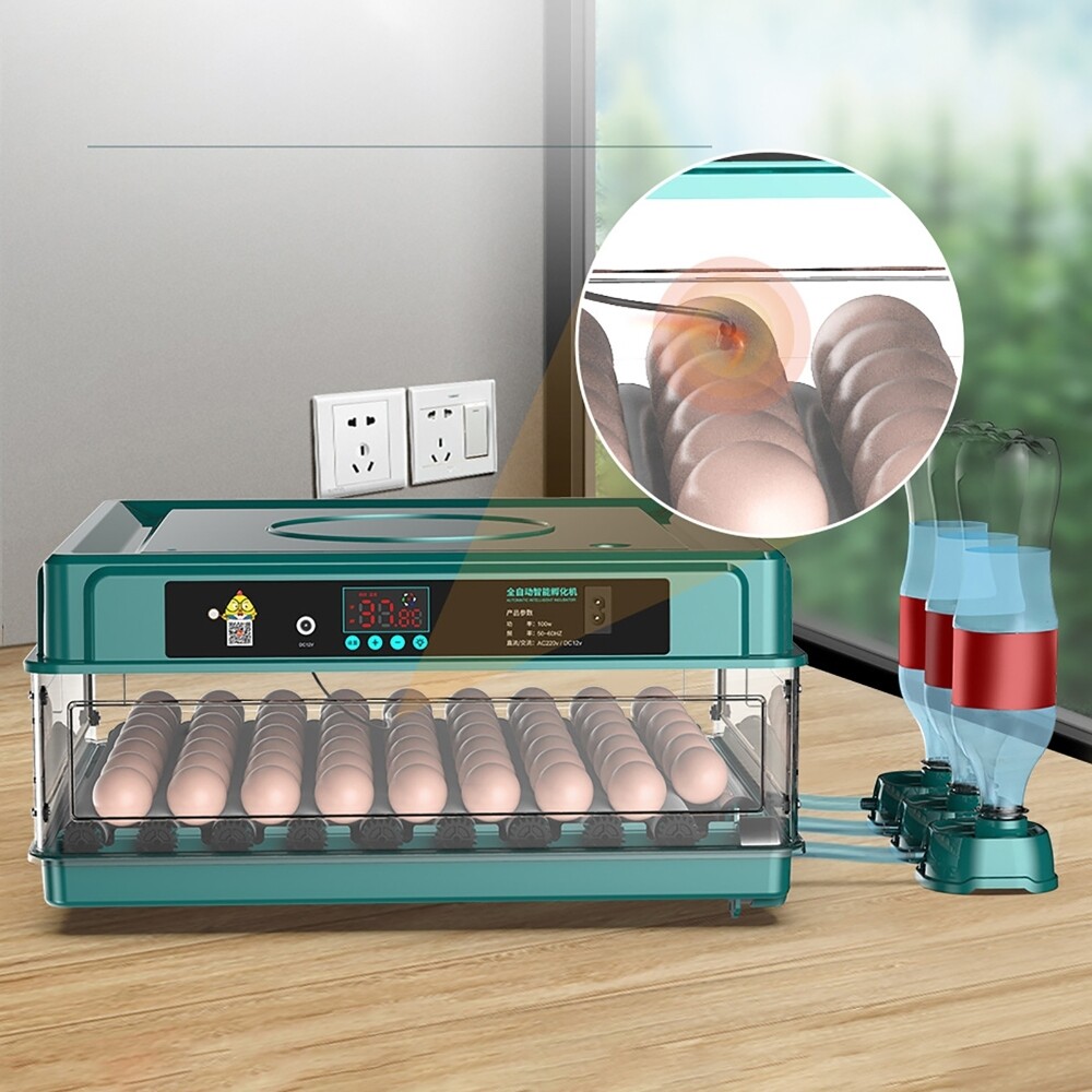 10 Eggs Fully Automatic Intelligent Double Electric Incubator Household Chicken