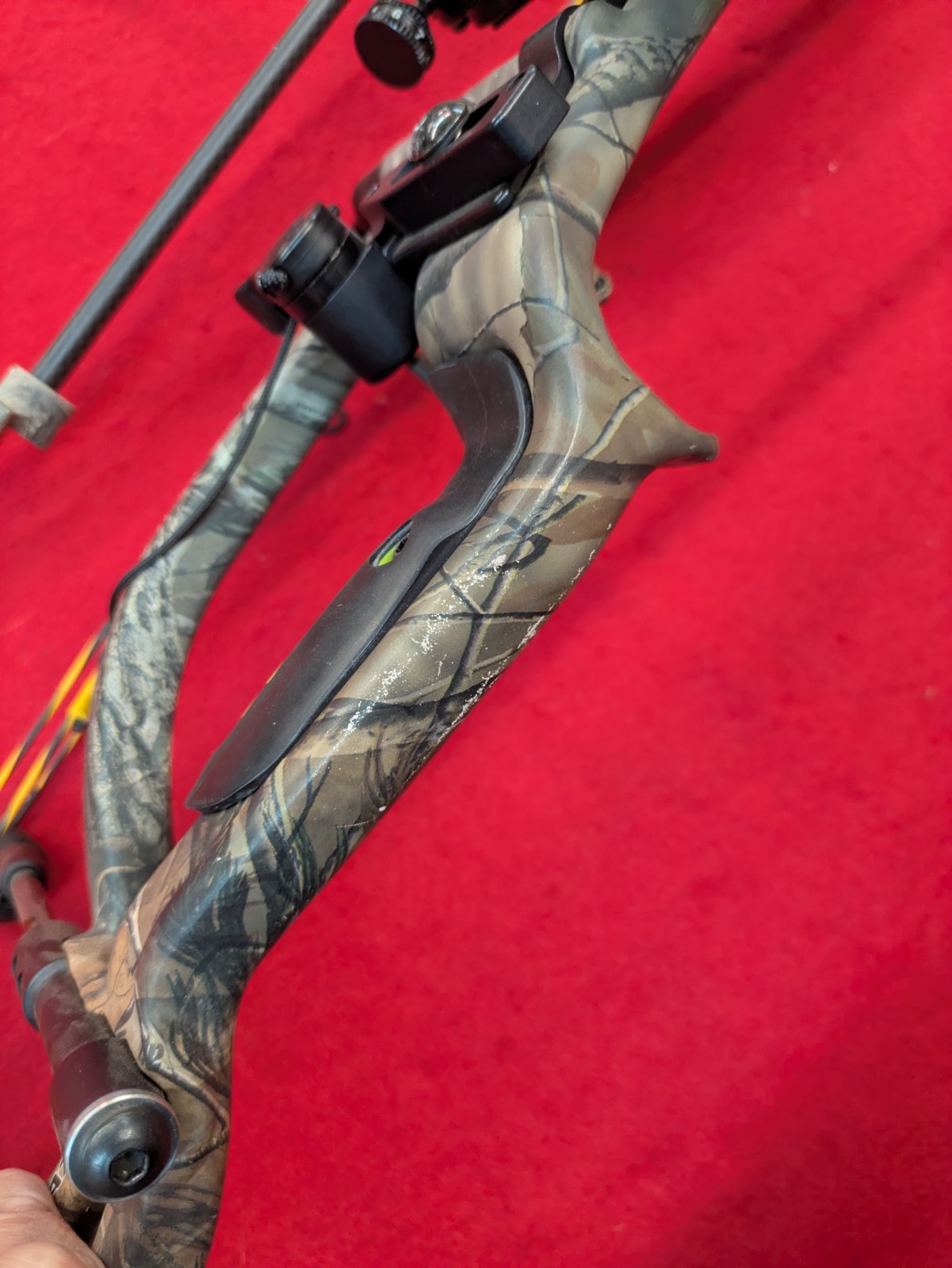 Hoyt Carbon Matrix Compound Bow